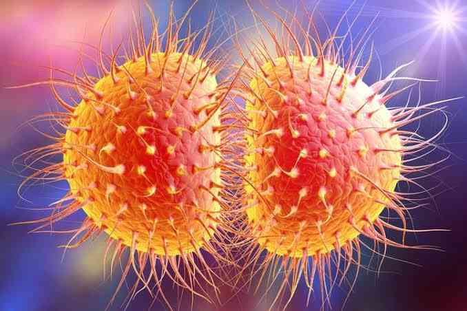 The strongest creature on Earth, gonorrhea bacteria, can pull 100,000 times their body weight. - MirrorLog